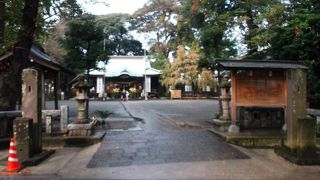 大和市では由緒ある古社、大きい。