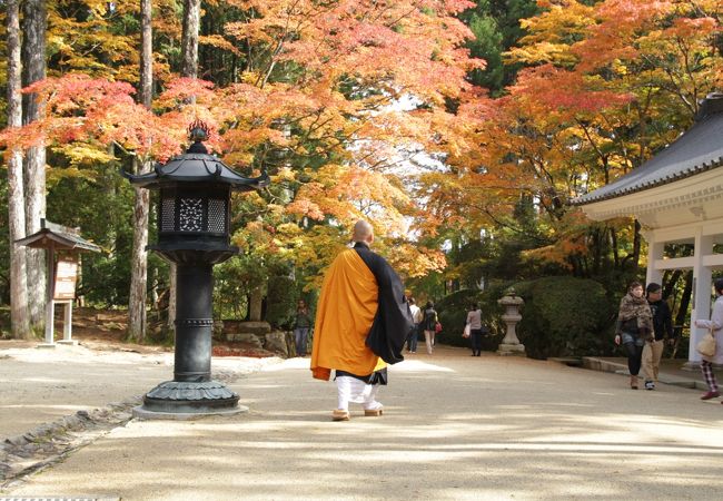 お坊さんも時々見かけます