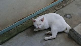 時間に余裕があれば