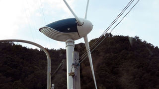 くじらの博物館がある公園。