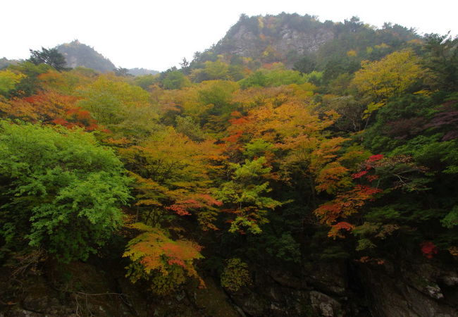 洞川温泉 大峰山 天川のおすすめ観光スポット クチコミ人気ランキングtop フォートラベル 奈良県 洞川温泉 大峰山 天川のおすすめ観光スポット クチコミ人気ランキングtop フォートラベル 奈良県