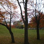 樹木が紅葉して秋らしくなった