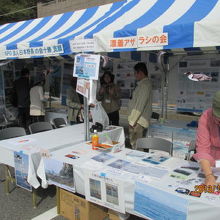 北海道からも来ています。十勝野鳥の会