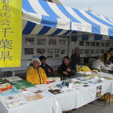 地元の千葉野鳥の会も出ています。