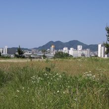 天守閣跡より立花山を望む