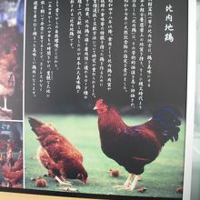 比内地鶏についての店に入口にある解説書