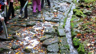 自然石の参道はぼこぼこで歩きづらいけど味わいがあります。