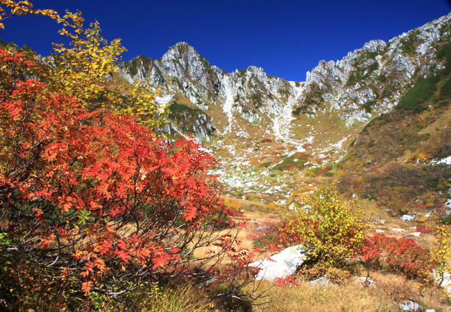 鋭くえぐられたカール状のくぼみを彩る紅葉が見事な千畳敷カール