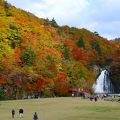 豪快な滝と紅葉のコントラストが素晴らしい。