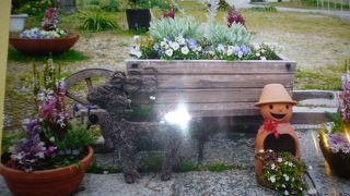 かわいいガーデンコーナーがありました