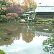 静かできれいな公園