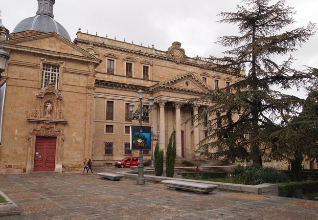 新カテドラルの北側の広場に