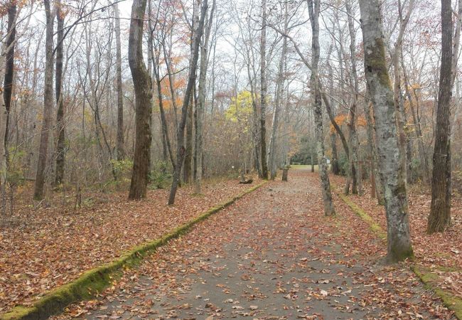 大自然豊かな公園