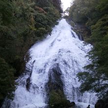 湯滝です。しぶきがかかるかも！