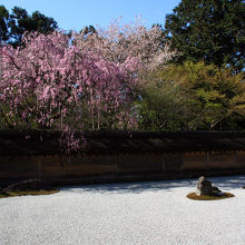 息をのむ風景。