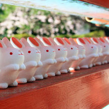 うさぎがたくさん。