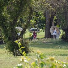 日本人にも人気のコース