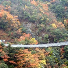 絵画のように鮮やかな紅葉とスリル満点の吊り橋を満喫できます