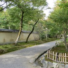 境内はまだ緑色。