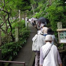 順序よく階段をあがっていきます。さすが日本人。