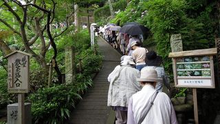 あじさいシーズンは大混雑。