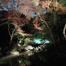 個人的には昼の方が好き。