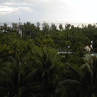 バルコニーからの眺め