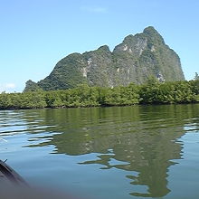 マングローブと島が海面に映って綺麗でした