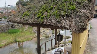 コイをよぶと恋が叶います