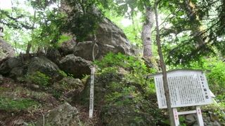 ある一点を指で押すと動かすことができる