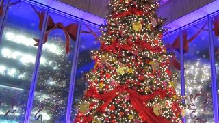 2013年はディズニーのクリスマスツリー☆