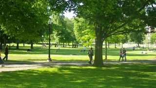 今や平和の中心にある公園