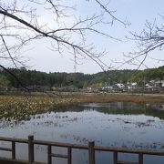 二つのお寺の間にある小さな湖です
