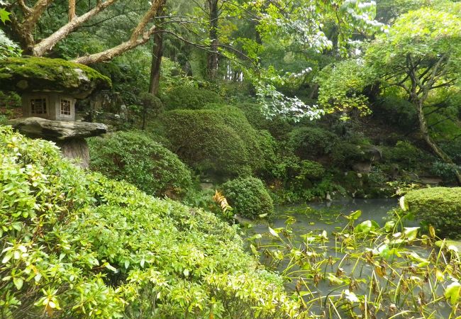 本堂裏にある庭園