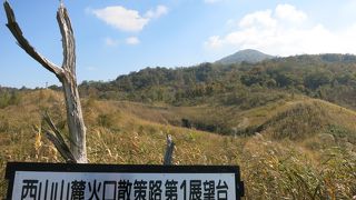 散策路北口にある売店のソフトクリームの種類が20種類超