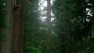 出羽三山の一つ