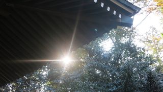 森に囲まれた神社