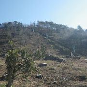 素晴らしい景観の小さな山