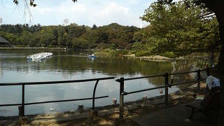 モノレールのそばに広がる見どころが多い静かな空間