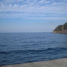 富士山が見えます