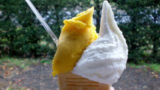 農場のジェラート