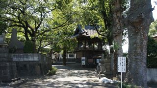 成田山新勝寺の本尊の分霊をここに安置