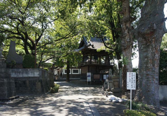 成田山新勝寺の本尊の分霊をここに安置