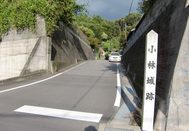 小林城跡