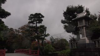 はすの花が沢山咲くそう