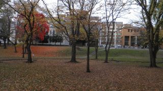 落ち葉がいっぱい