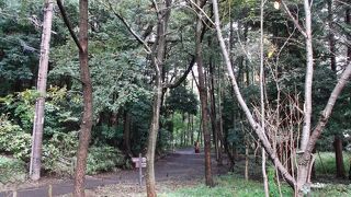 森林欲・・自然派ならいい！