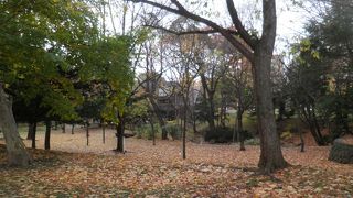 周辺に樹木が多い