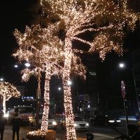 ホテル前の通りのイルミネーション