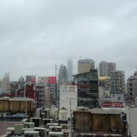 客室からのｽｶｲﾂﾘｰ　周辺ビルの景観は場所柄仕方ないね